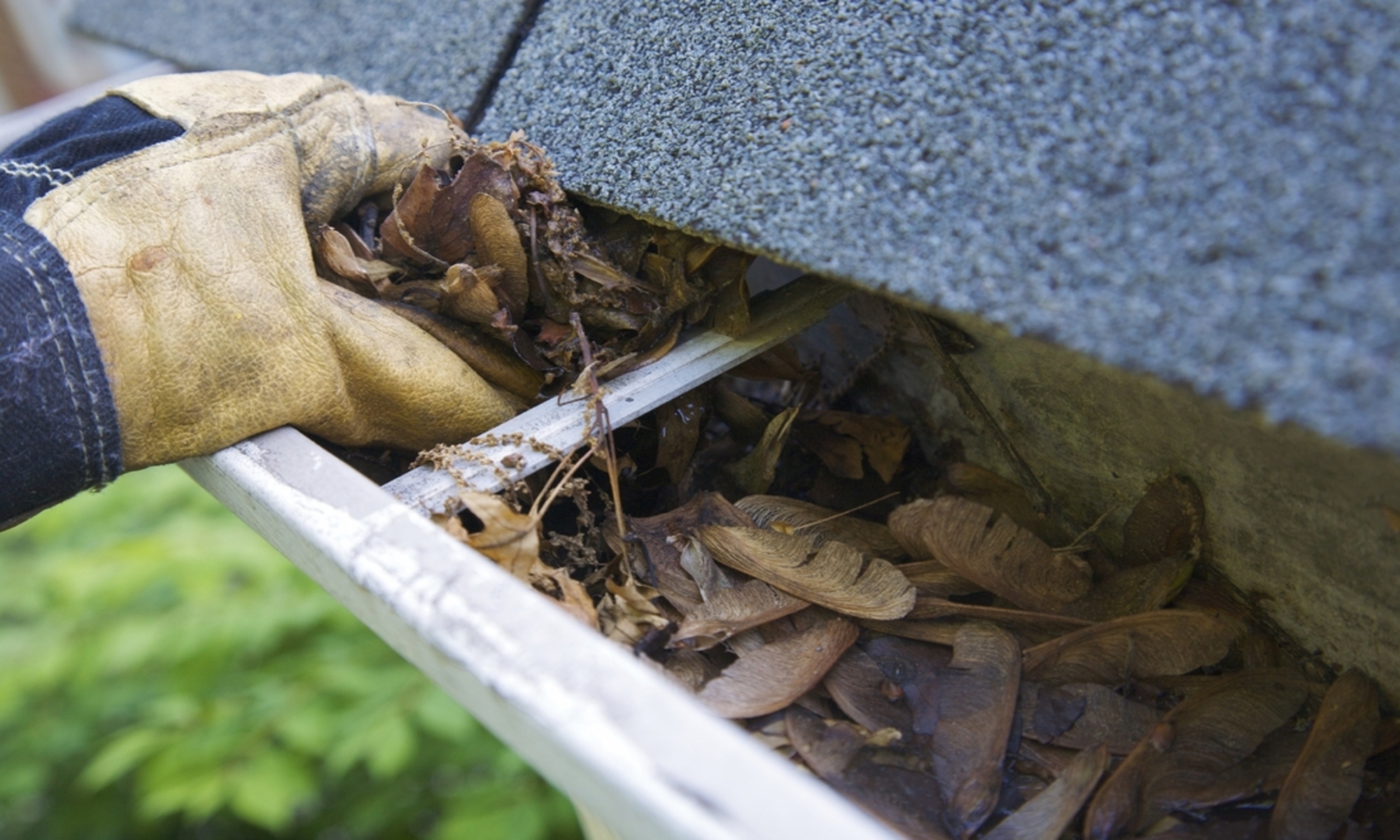 Gutter Cleaning Sparta Nj Dirty Gutters? Need a Professional? Call Today